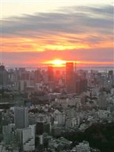 謹賀新年。