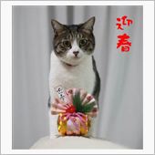 ２０１３　謹賀新年