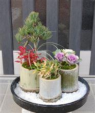 明けましておめでとうございます。