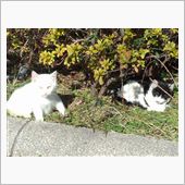 おまけ