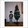 【2012年の話題】クリスマスツリー購入