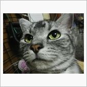 ウチも　ど★アップ♪