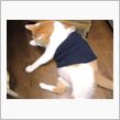今更ですが…あけましておめでとうございます♪(笑)
