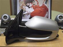 ミラーカウル確保