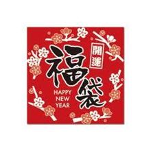 服屋の福袋ってたいてい　在庫整理だよね