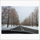 てすと。