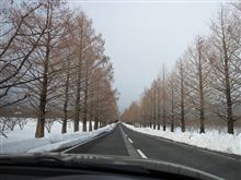 てすと。