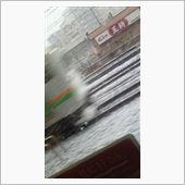 王将と湘南新宿ライナーとぼた ...