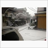 雪ヤバイ（汗）