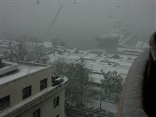 横浜は初雪 (ﾉД`)