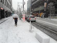 雪国模様
