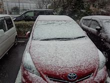 雪だぁ♪