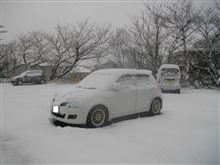 おおおおお！（雪＾0＾雪）あたり一面、銀世界ですよ♪