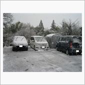 雪だ、雪！