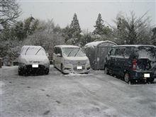 雪だ、雪！