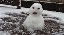久しぶりに房総にも雪が積もりました