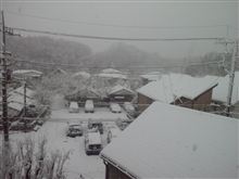 東京は大騒ぎ！