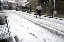 雪ですね