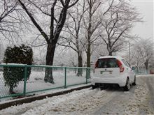 雪です! 雪です!