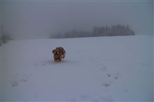 山に雪が積もった日には