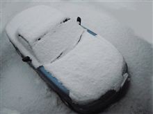 ほら、やっぱり降った。