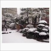 嫌って言うほど堪能できました ...