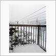 雪