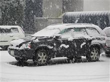 大雪の休日
