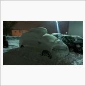 ようやく降った☃