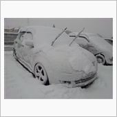 ひどい雪でしたね。