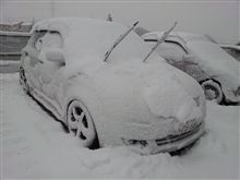 ひどい雪でしたね。