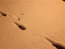 2013.01.14…