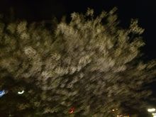 この寒いのに