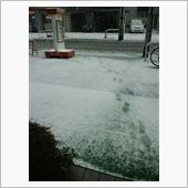 成人式を終えて・・・