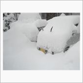 マジで連日の大雪はツライっす ...