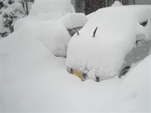 マジで連日の大雪はツライっすΣ(ﾟдﾟlll) 