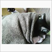 いつもの場所が良いよう～