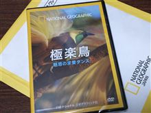 ☆極楽鳥☆