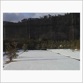 芝生には雪が残ってましたが～