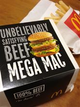 やっぱり大きいな