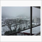 【ぶらり】・・・。