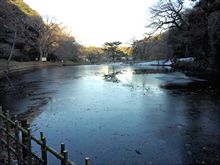 久々の佐倉城址公園