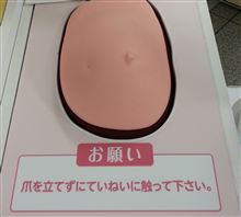いきなり「触ってください」って・・・