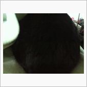 覗き込むように起こしに～