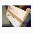高弾力でクリアコーティングされたような光沢のアレが届きました（長ッ