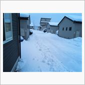 湿雪