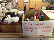 このセンス、好きです。