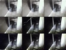 雪でセンサー　作動中・・・・ちと　うるさい＾＾；