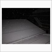 ヤバイ、雪が積もってきた。