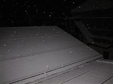 ヤバイ、雪が積もってきた。